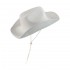 Costume Barbie avec perruque Barbie et chapeau Ken